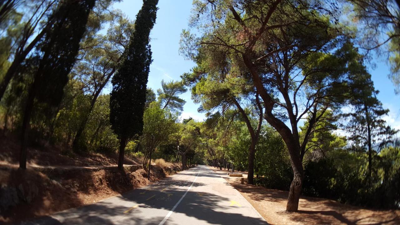Villa Branko Split Bagian luar foto